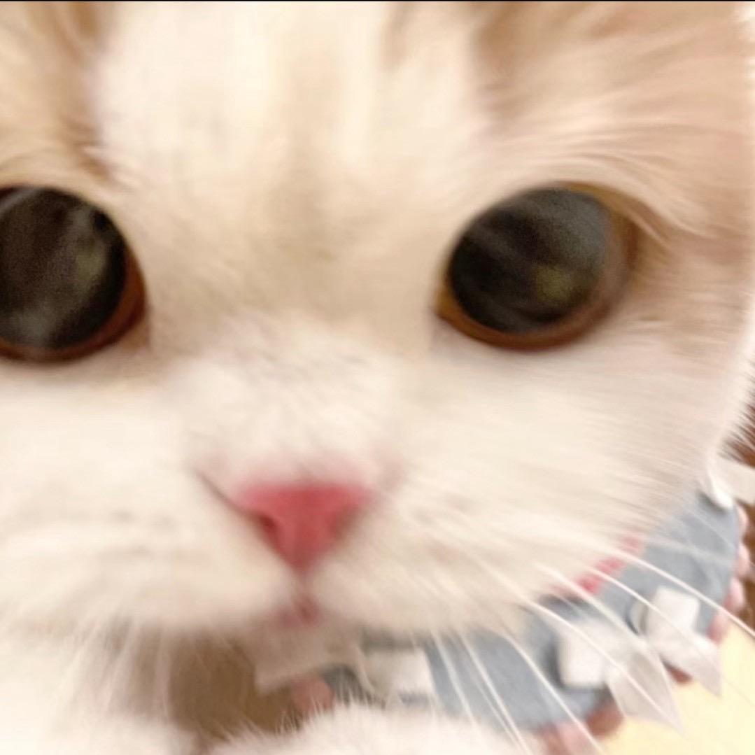 花开花谢二十年