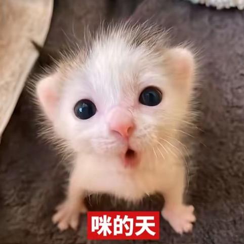 麻辣烫大王