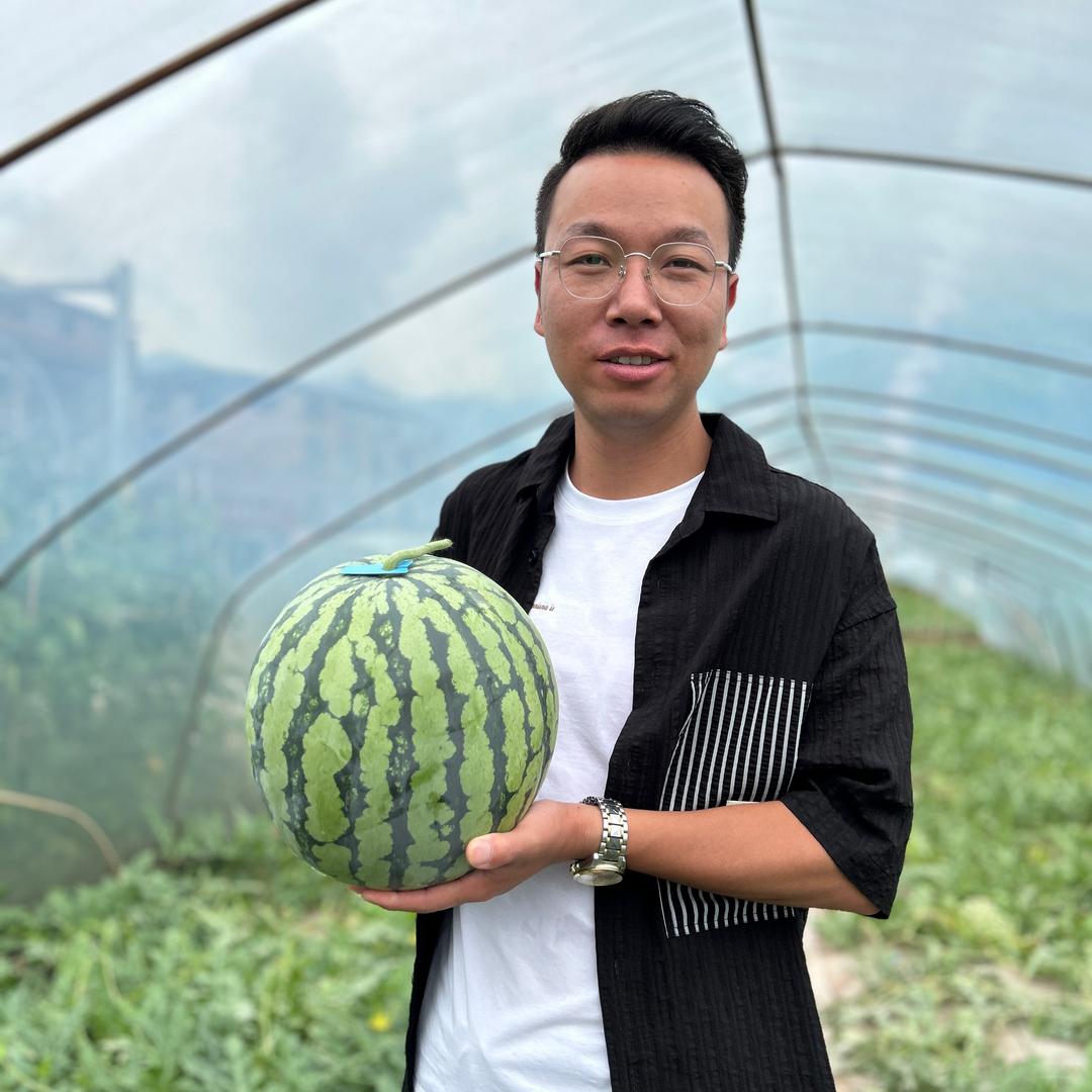 阳阳爱种植