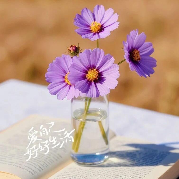 若水（倾听师）