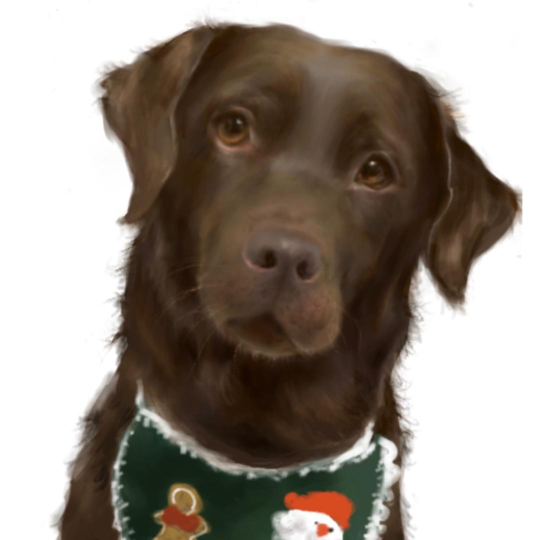 菲菲🐷的快乐日常