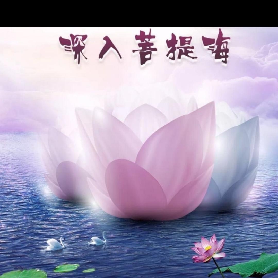 大美姐姐