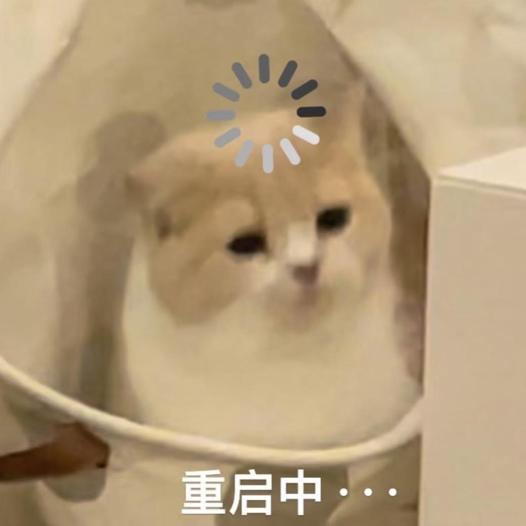 狗狗子并不爱吃鱼