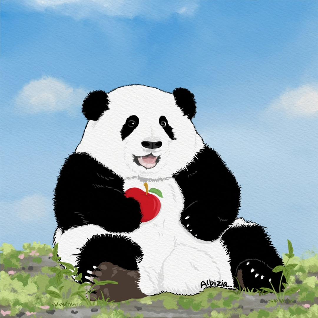 依然是花花