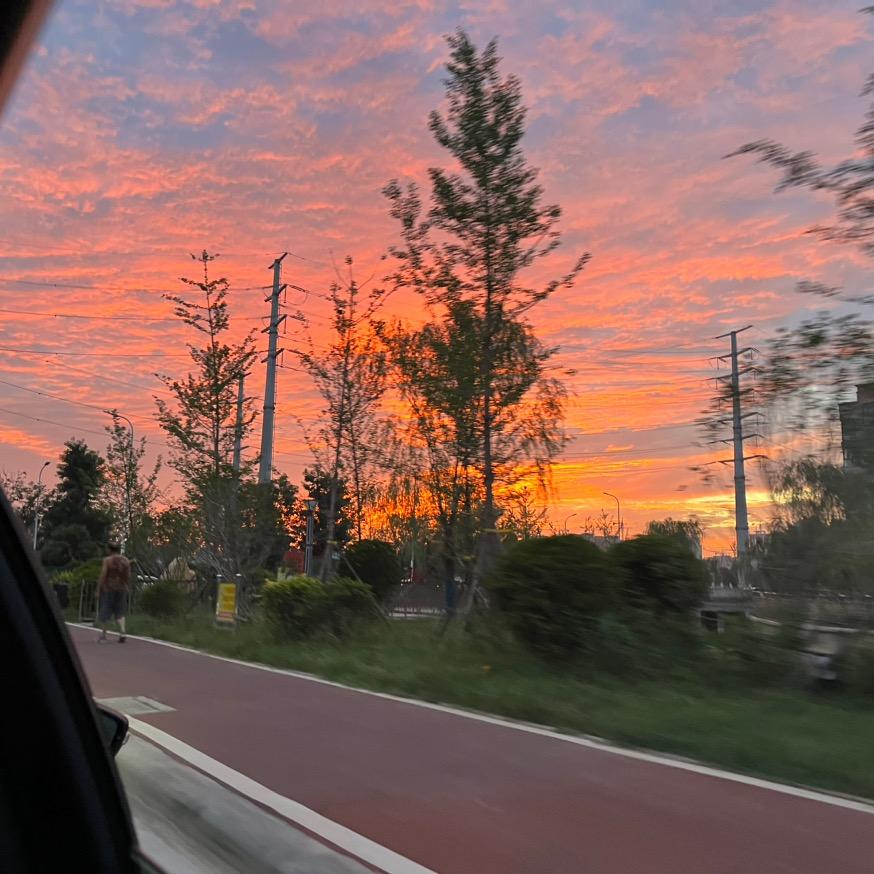 芒果味的炫迈