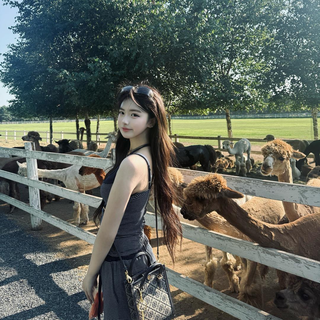 桐嘟（鑫禧禾刚子）