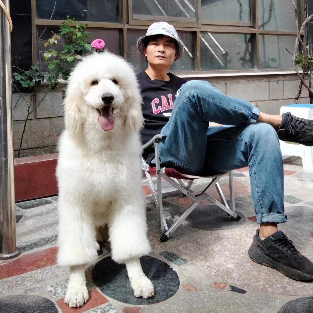 大红柱子