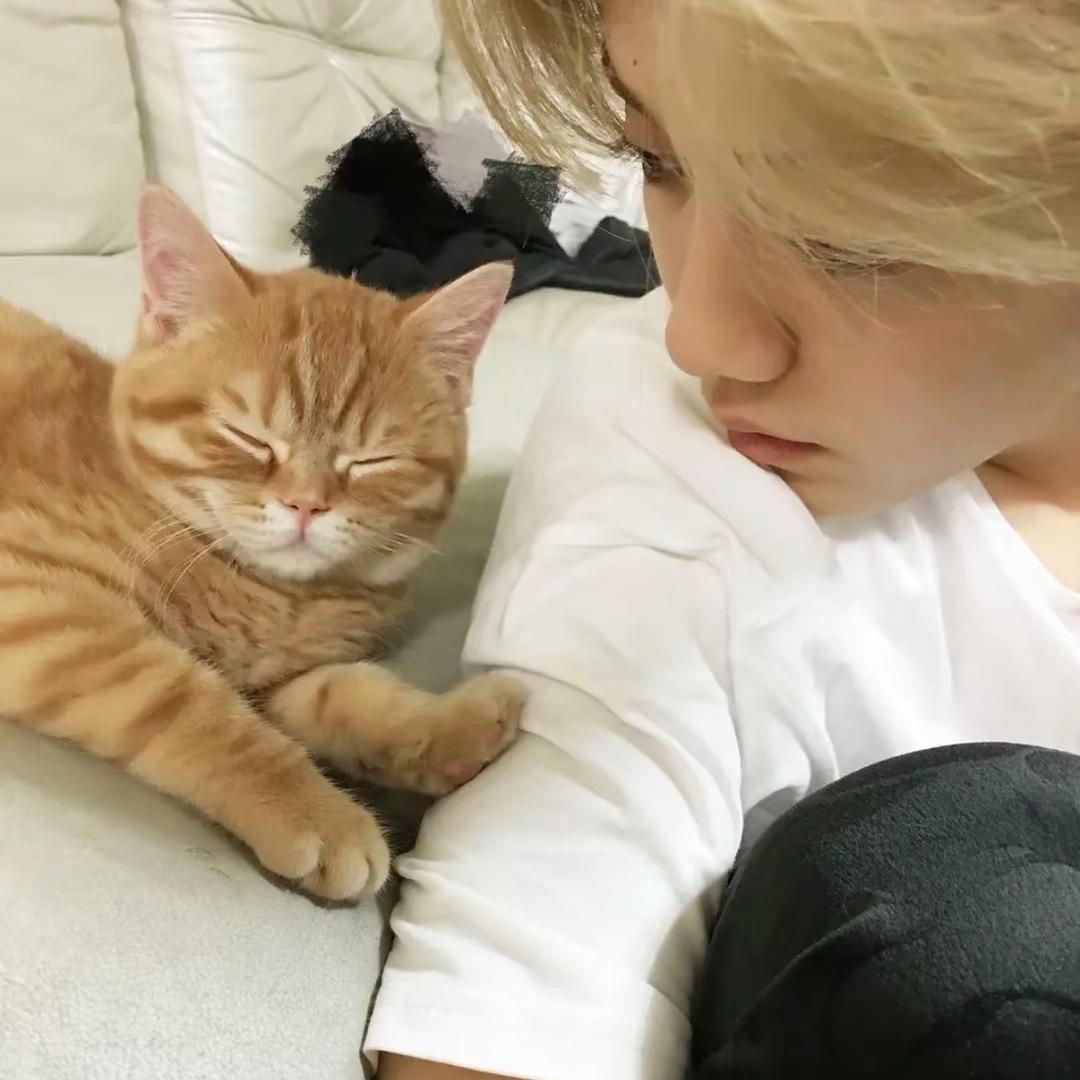 Lu—饭饭（被鹿晗叫乖乖版）