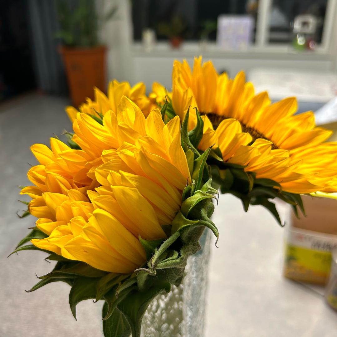 英姐说房（御景观澜店）