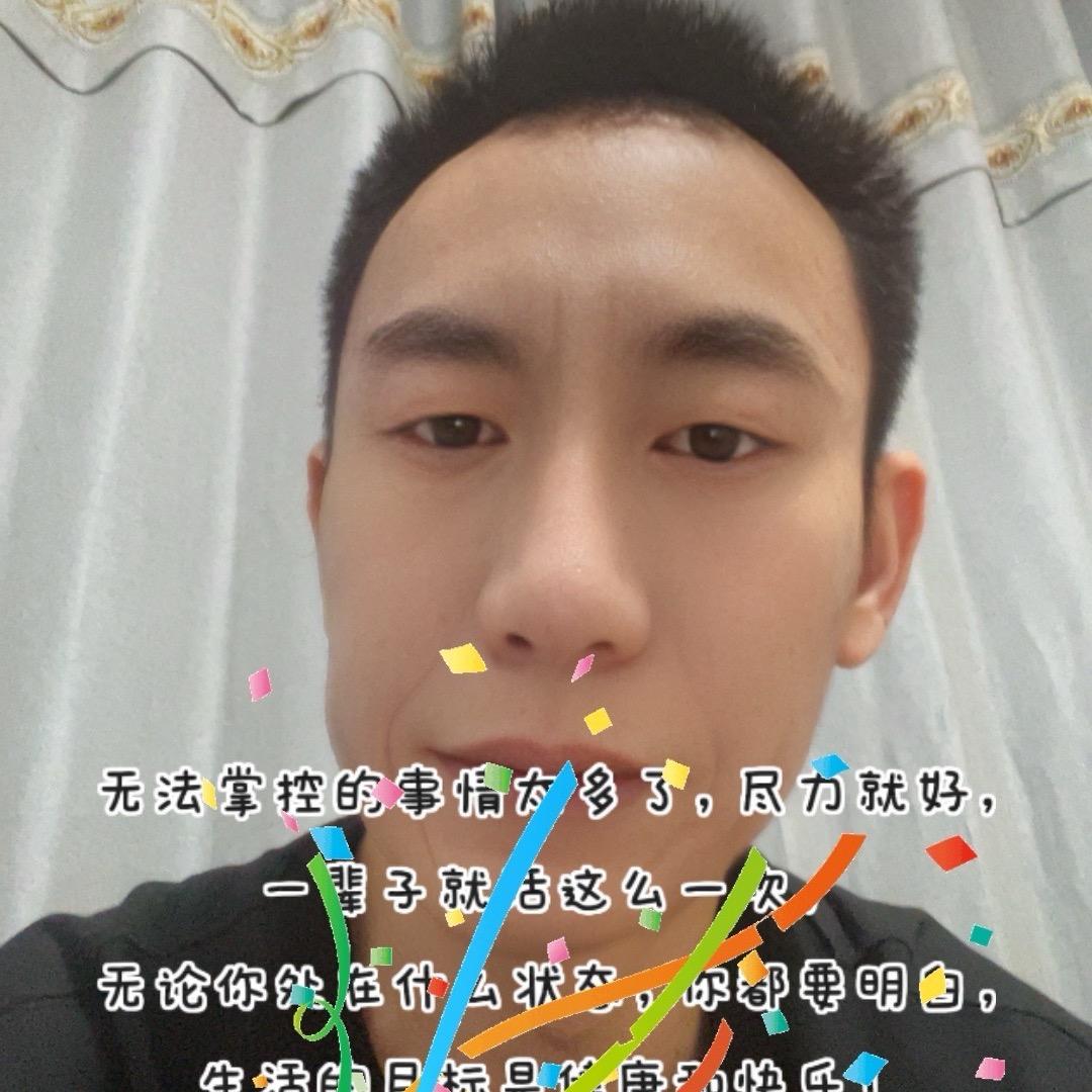蚁巢生活
