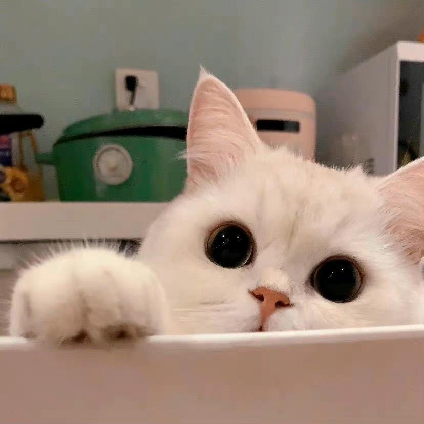 十一（减肥中）