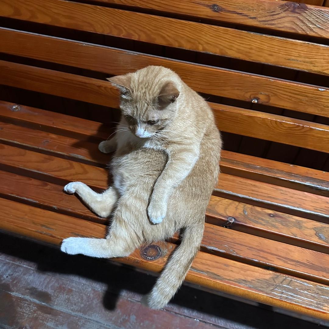 兴美居家居馆宫灯