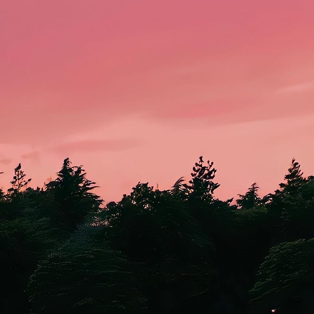 霸道的灰太狼