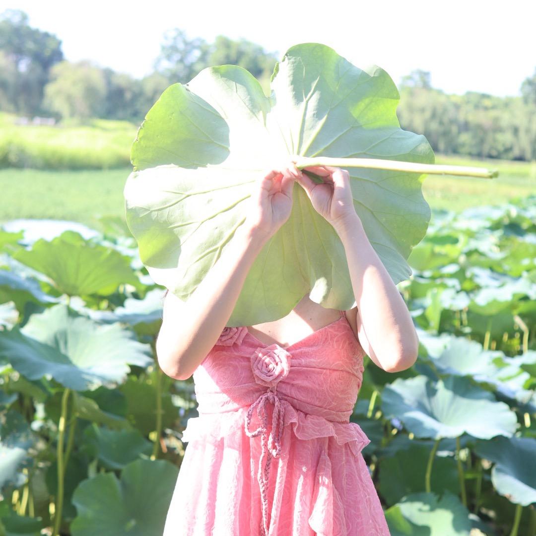 青青草原——喜羊羊