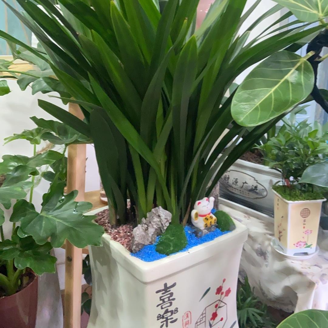 心悦花艺馆