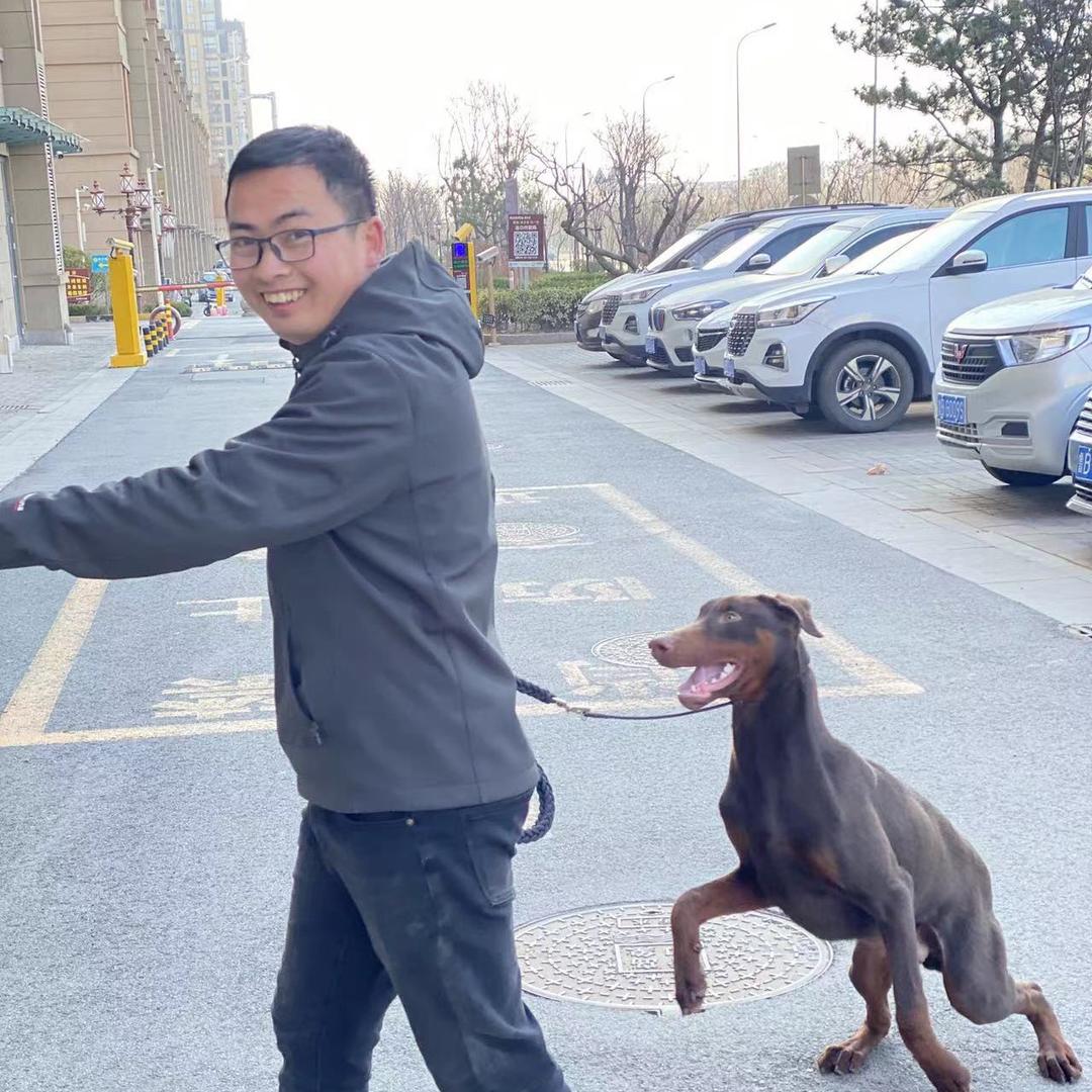 隔壁老王教狗定点