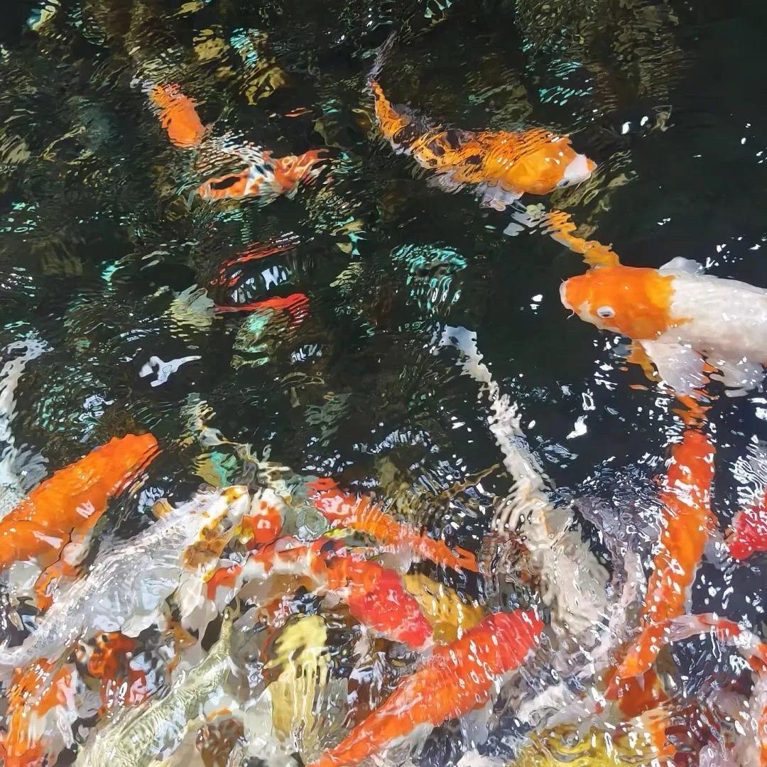 被偷走的那五年