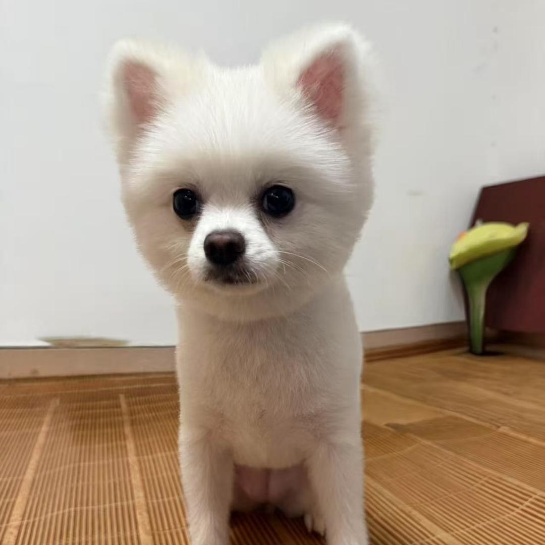 @悦悦麻麻^O^（请勿连续点赞）