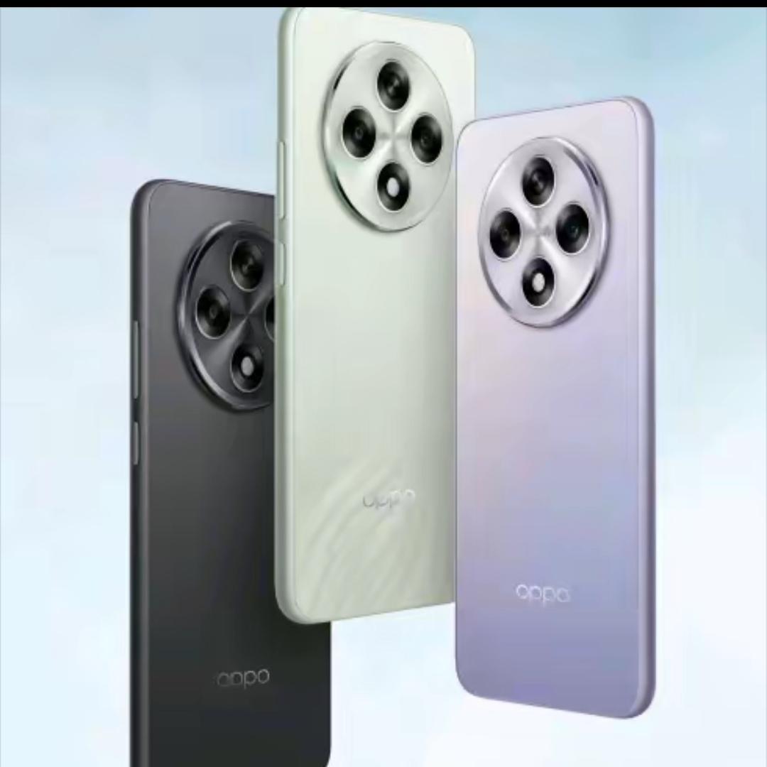 老张数码