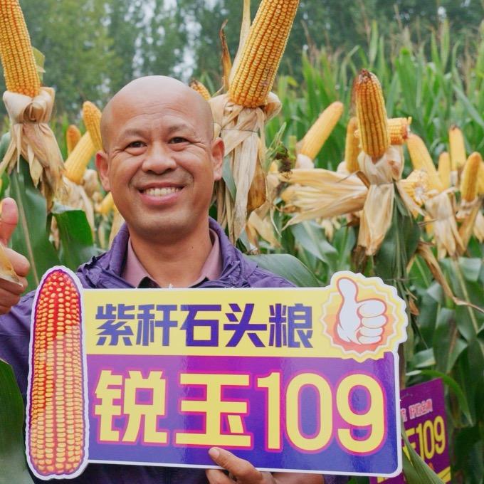 沁县活宝农资哥