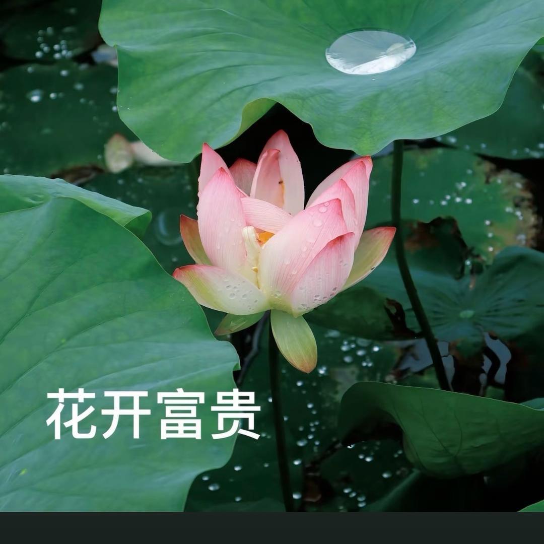 亿吾安安安安安