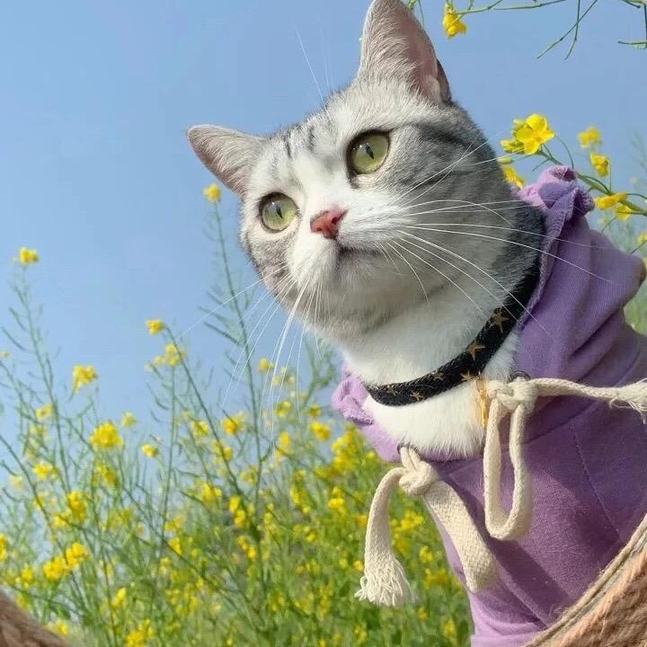 🌠