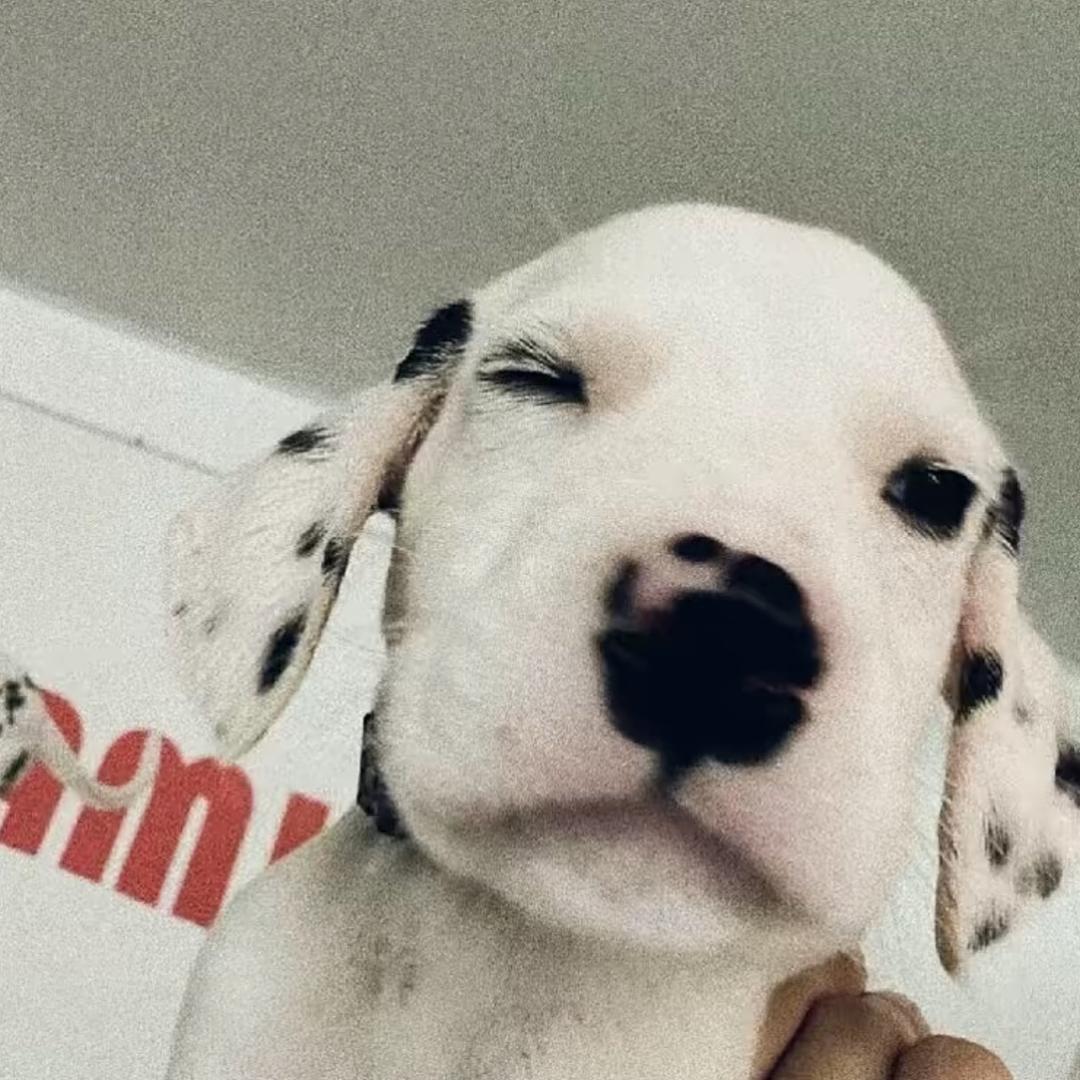 OooOo