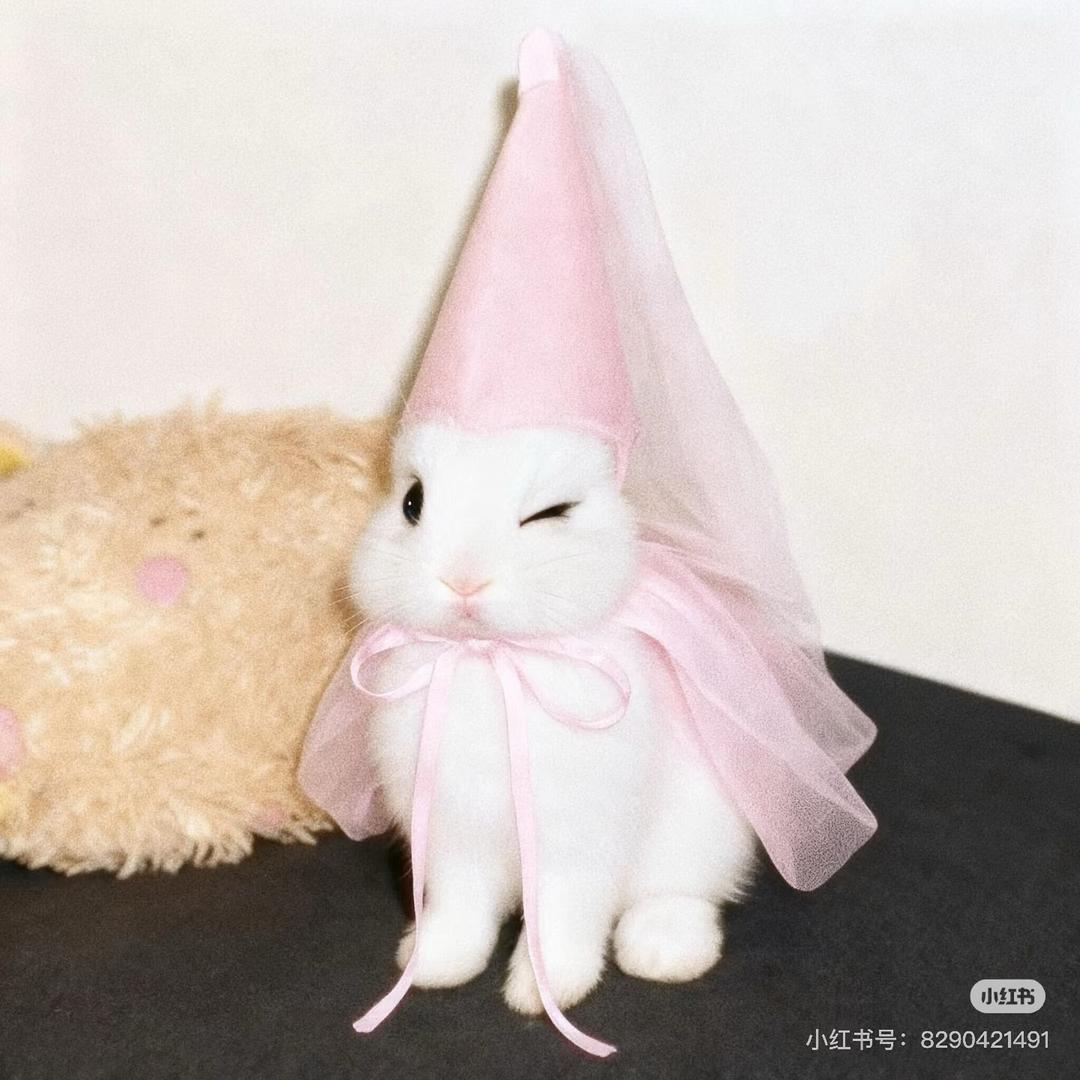 蓓蓓Bei~