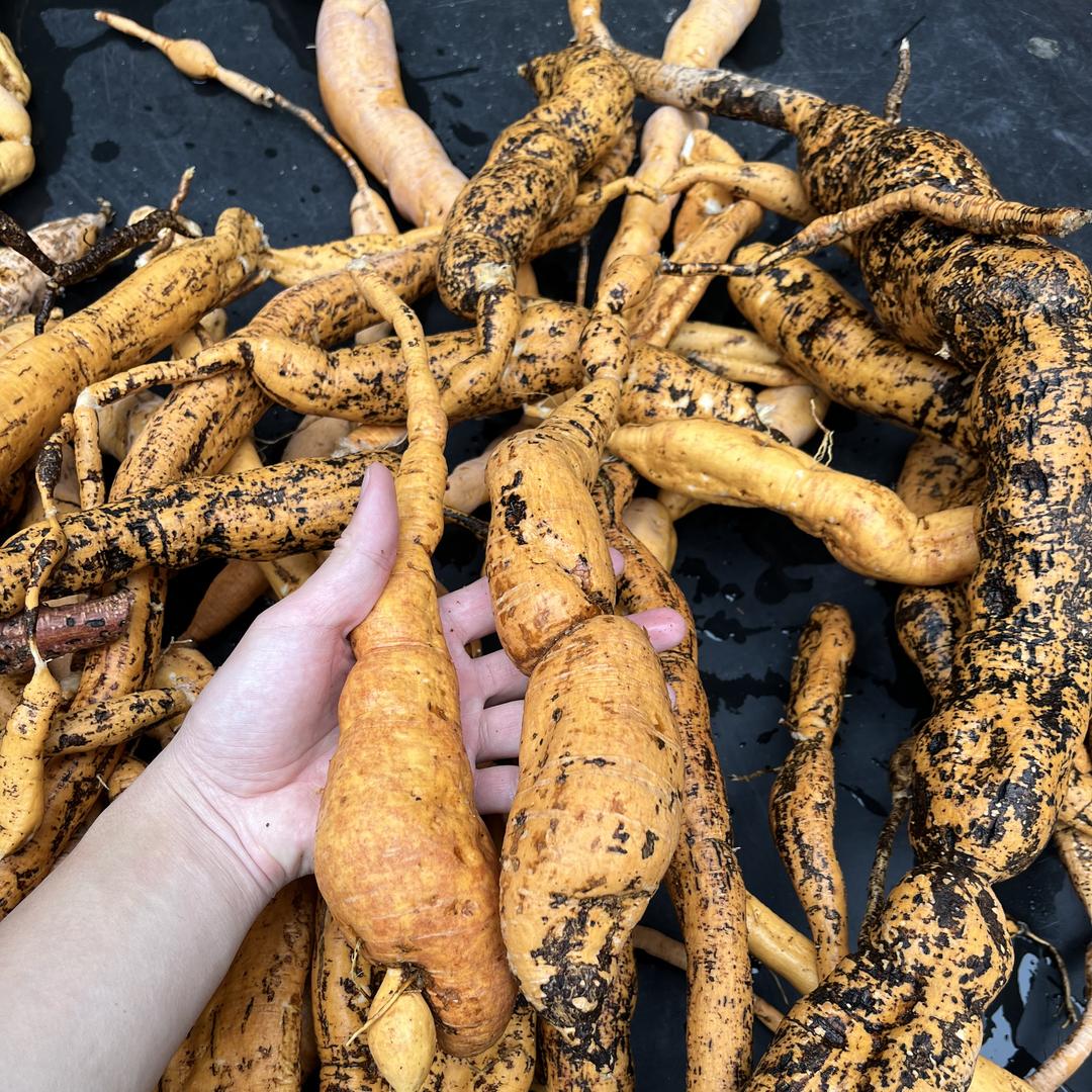 阿奕山货小铺