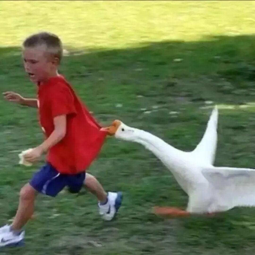 热心市民先生孙