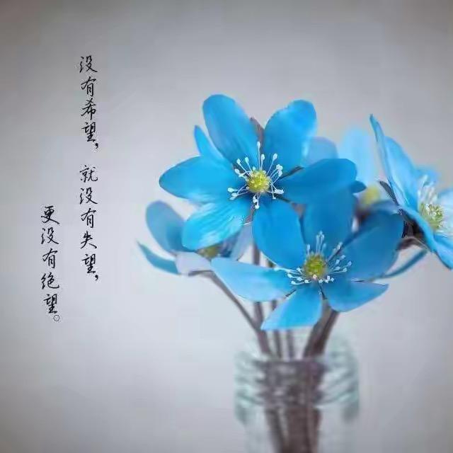 梦心（❤️）