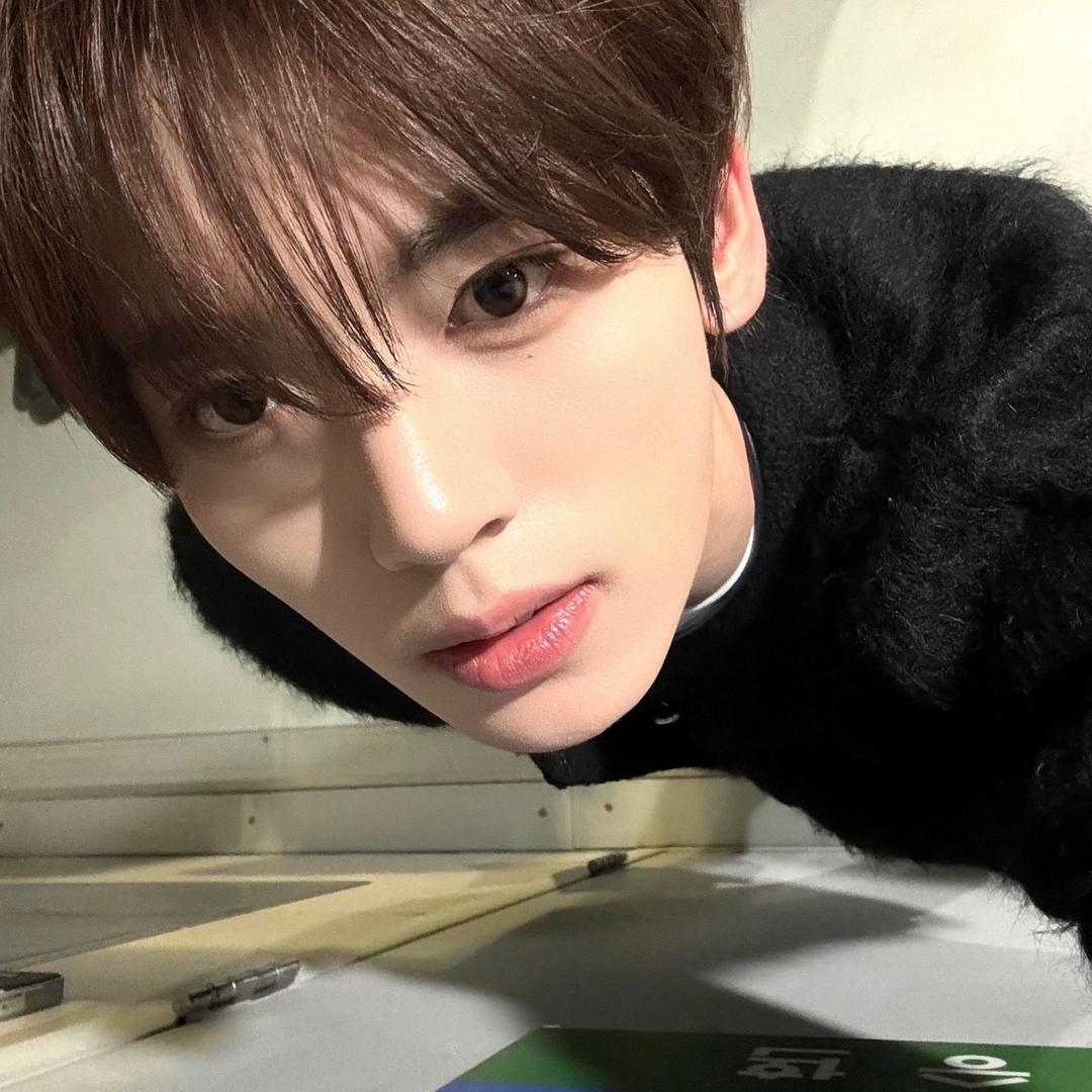 菲菲lululumu🥀（没分版…