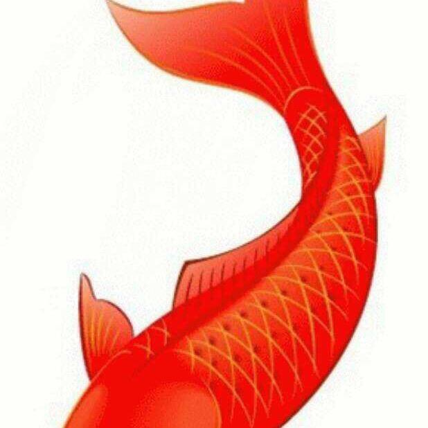 随遇而安💎