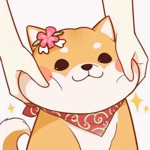 桃子团队-TiGeR