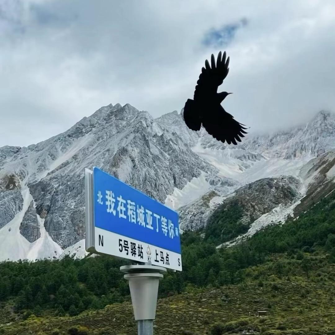 设绘主义接班人