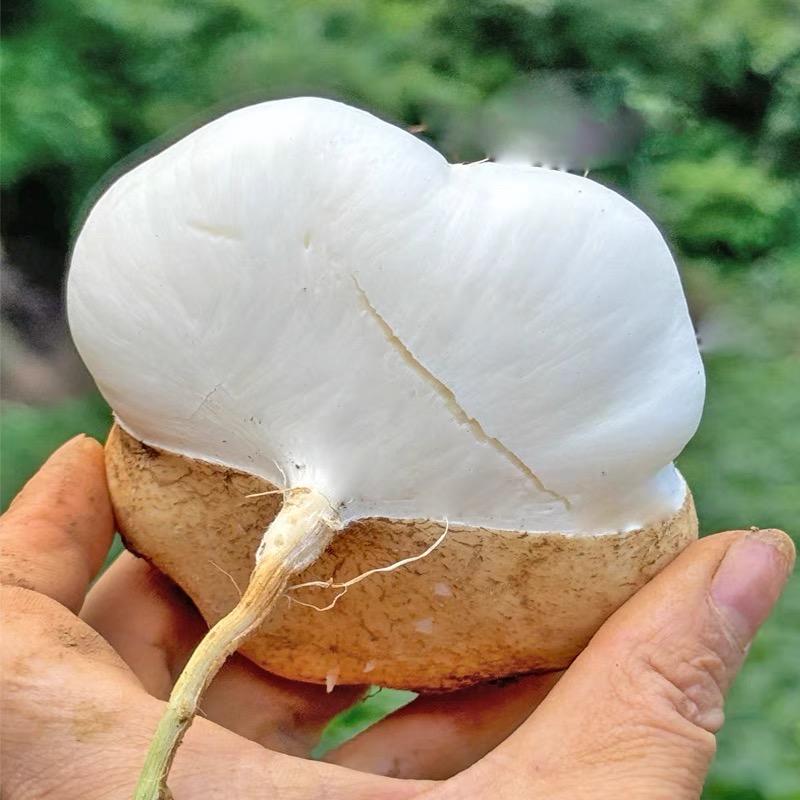蔬记生鲜
