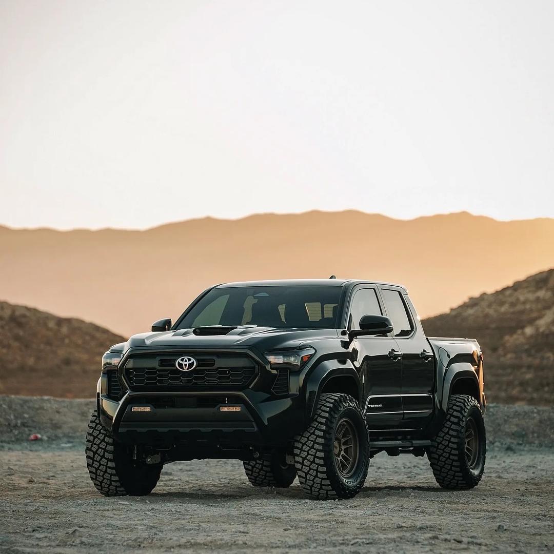 凯德名车渣渣龙