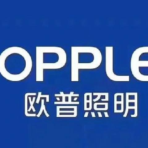 欧普照明浴霸旗舰店抱抱暖甄选号