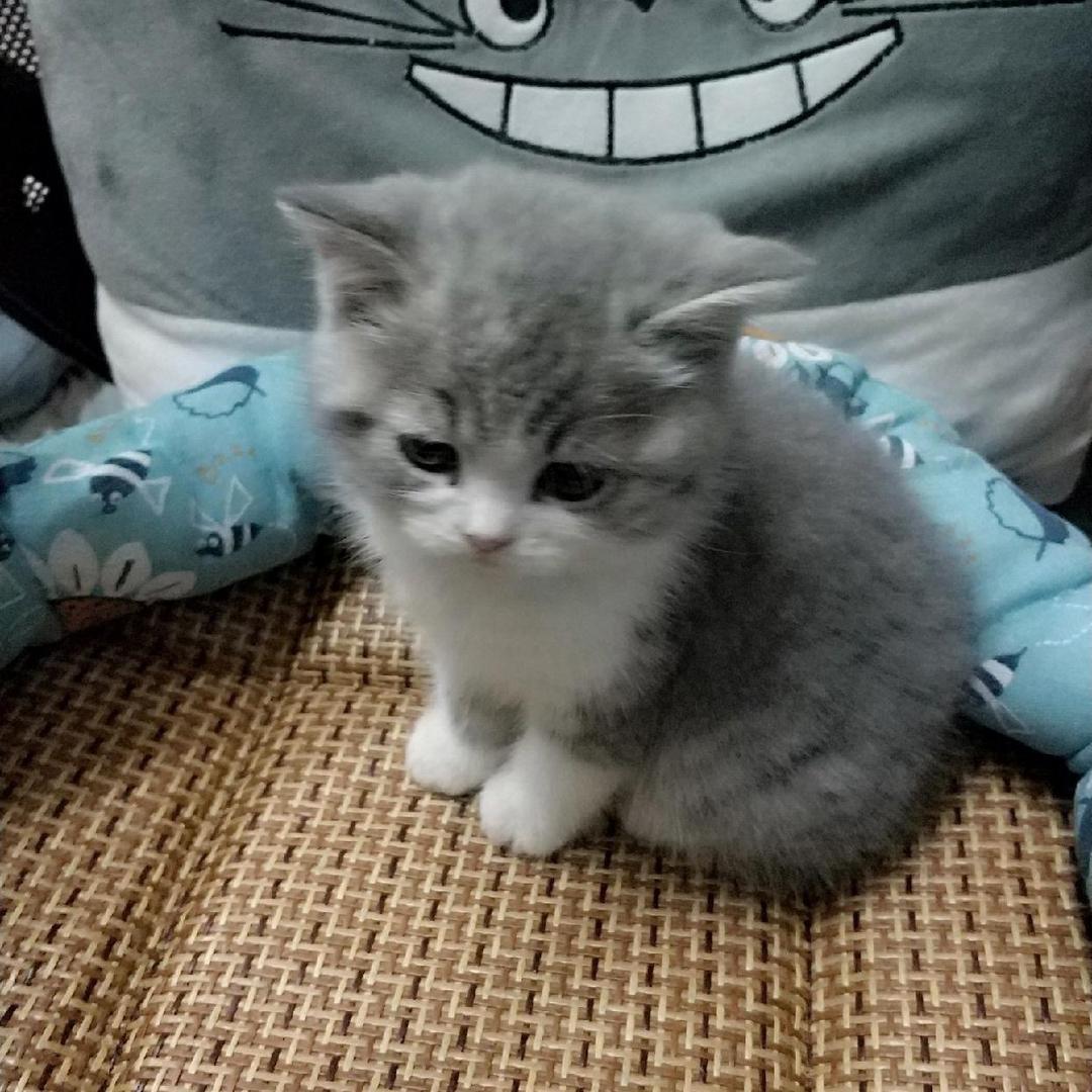 与君殊途不同归