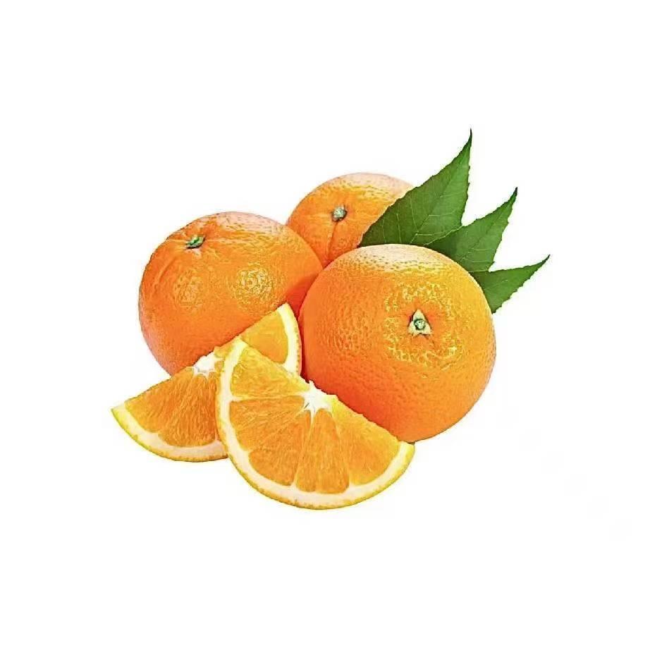 圆佑果树苗木专营店