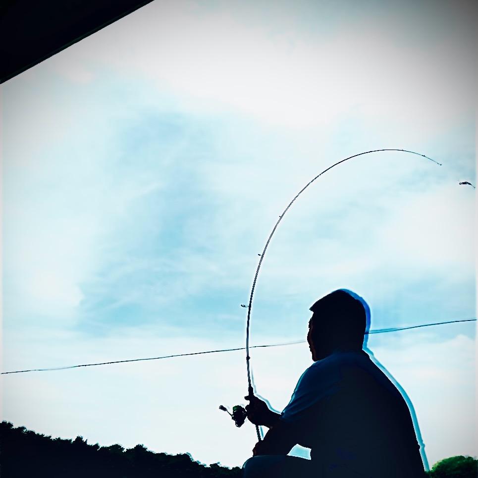 龟龟仙人🎣🐟