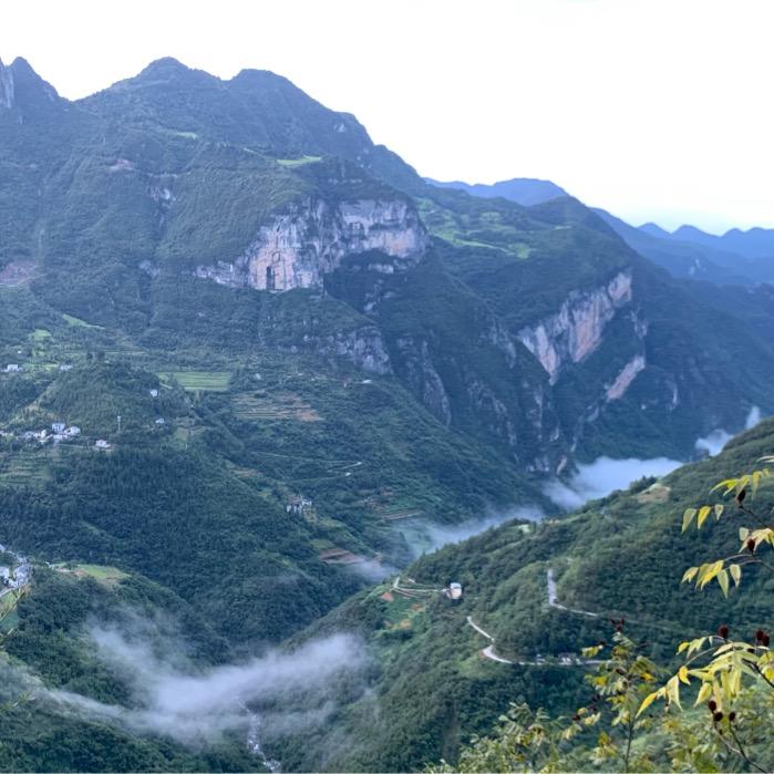 东来盆景