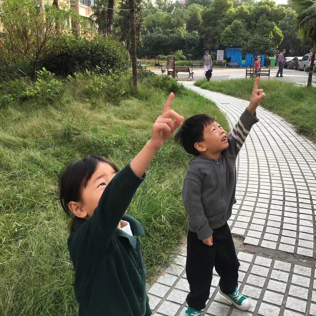 是俩娃麻麻呀