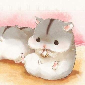 爱吃仓鼠🐹