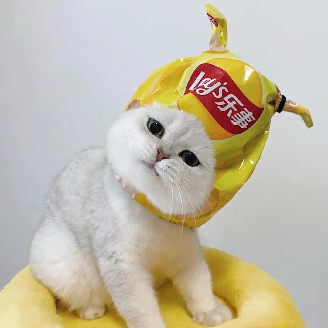 阿笑爱吃辣条