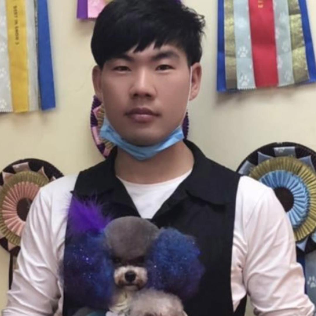 狗托邦宠物甄选