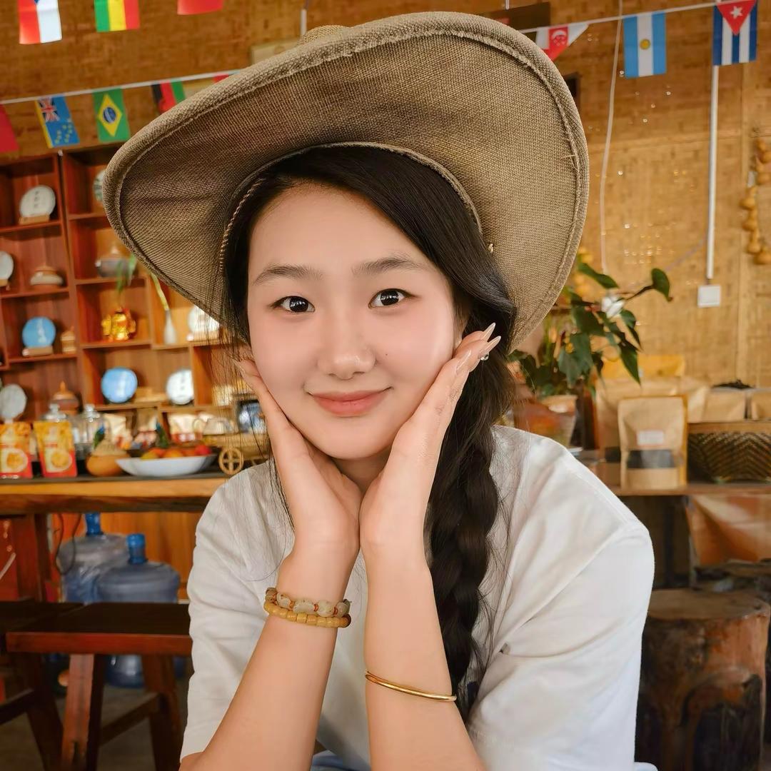 越南女婿白龙