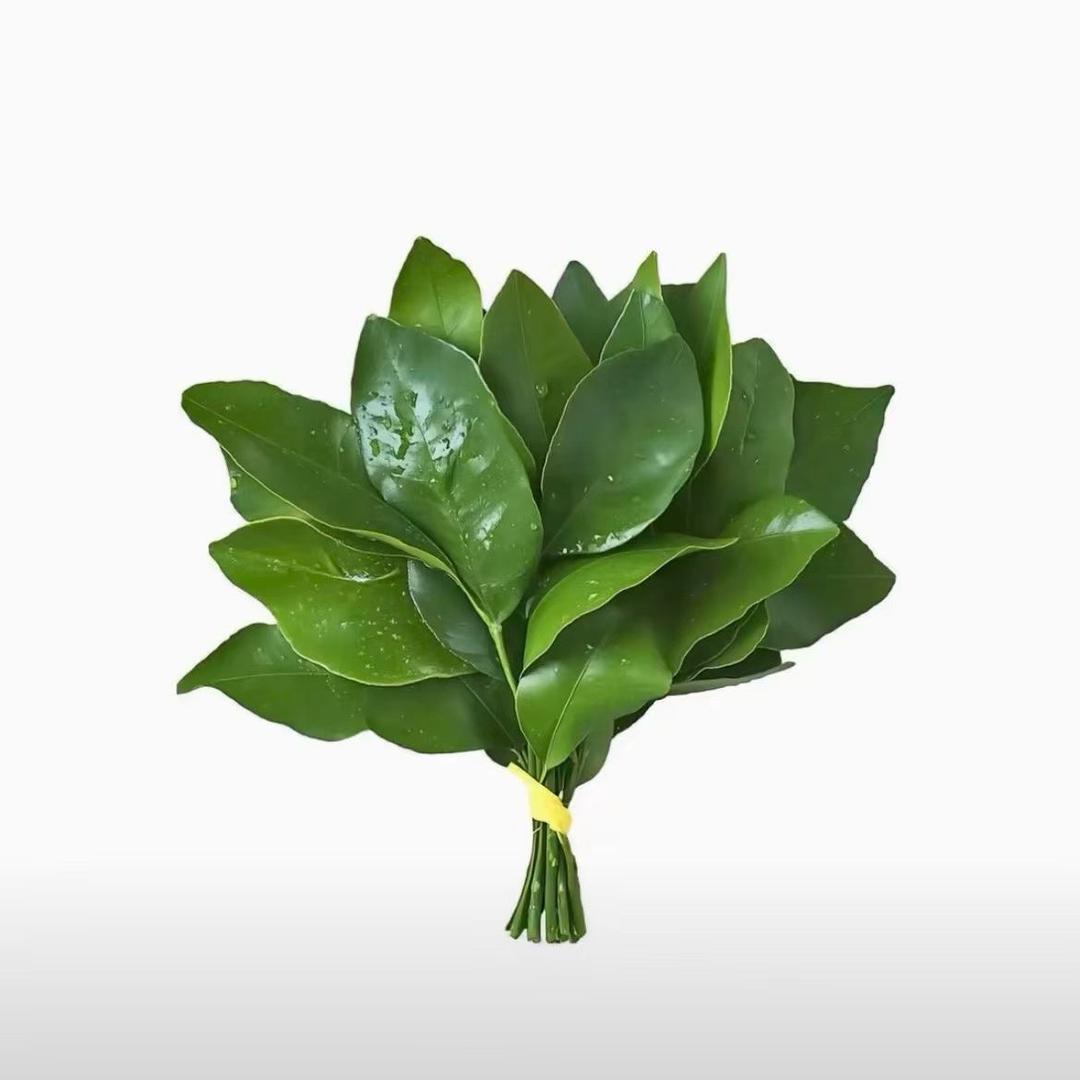 我就是王