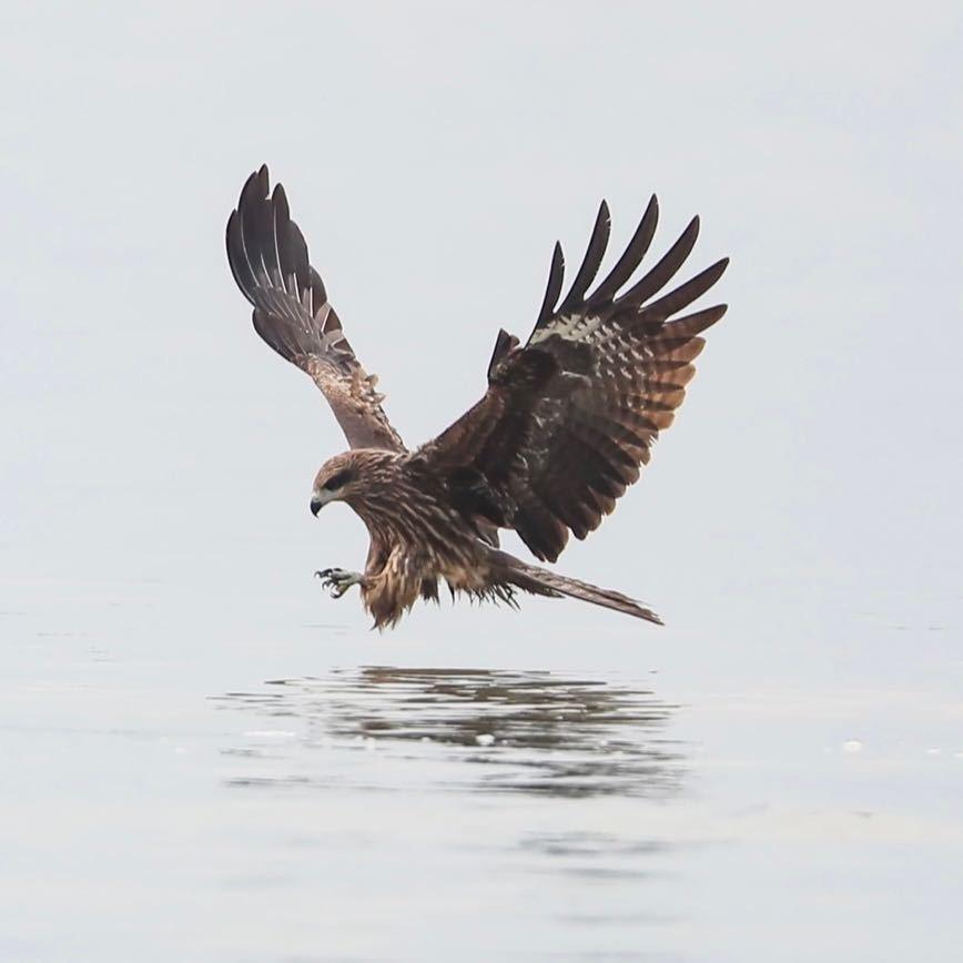 汕头市仟鳶五金塑料制品厂