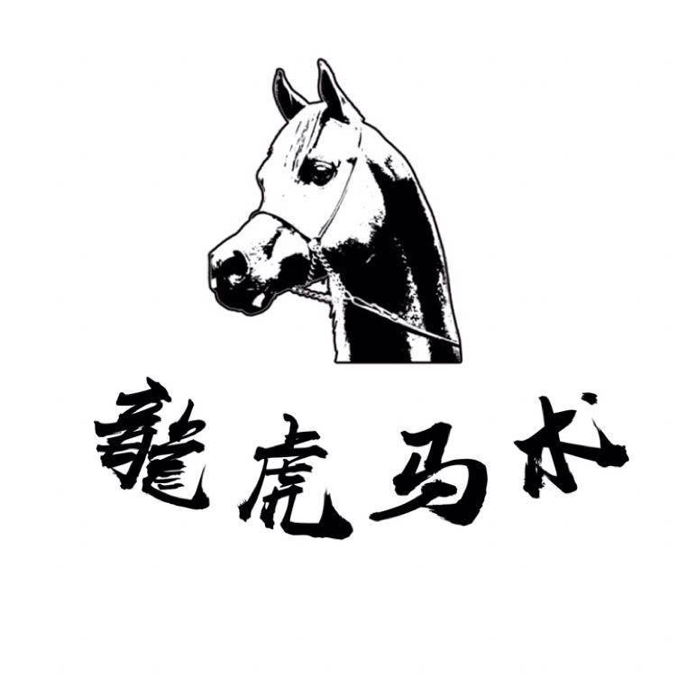 龍虎马术｜马匹优选